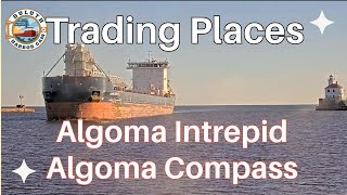 quotTrading Placesquot Algoma Intrepid arrived and Algoma Compass departed Superior 10072028 [upl. by Krueger271]