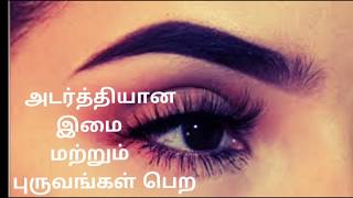 how to grow eyebrows thicker in tamil [upl. by Kono]