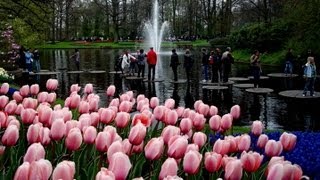 KEUKENHOF 2011 HOLLAND Парк цветов в Голандии [upl. by Miarfe]