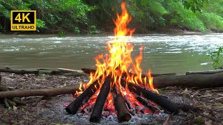 Campfire Sounds For Sleeping Near​ The River Water [upl. by Prouty]