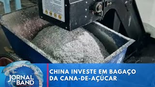 China investe em usos para o bagaço da canadeaçúcar  Jornal da Band [upl. by Airahcaz153]