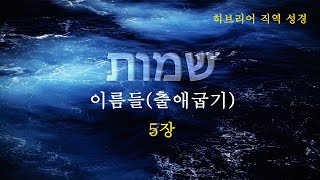 히브리어 직역 성경  출애굽기 5장  이름들  BGM  구약 성경  히브리어 직역 성경  성경 읽기  듣기  히브리어  헬라어  출애굽기  모세  홍해 [upl. by Ladnar3]