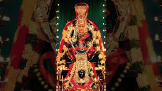 மாரியம்மன் god tamilshorts janakil65 [upl. by Asirap]