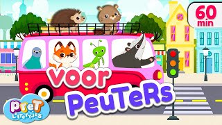 Voertuigen Dierengeluiden Boerderijdieren amp meer Pretlettertjes Kinderfilmpjes [upl. by Liemaj211]