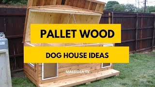 50 Creative Pallet Wood Dog House Ideas for Home [upl. by Nwahsud]