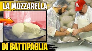 Nel Cuore della Mozzarella di latte di Bufala  le Assaggio TUTTE La Zizzona di Battipaglia [upl. by Aytak57]