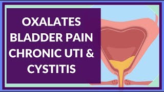 How Oxalates Can Cause Chronic UTI Interstitial Cystitis amp Bladder Irritation [upl. by Ursa]