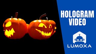 PUMPKIN  3D Animation for hologram  hélice holographique [upl. by Nnaul]