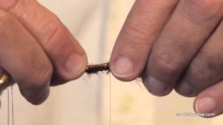 Tying a Tube lake Leech Trout Fly [upl. by Hsirt]