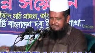 Boro Pirer Kahini Maulana Tofazzal Hossain Voirob Waz [upl. by Kalagher]