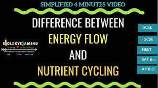 Difference between energy flow and Nutrient Cycling [upl. by Birdt920]