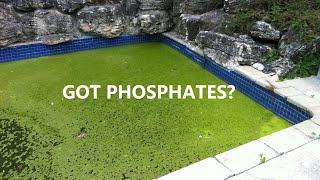 Phosphates In Pool Water [upl. by Alvita]