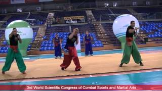 Bojowy Hopak  3rd World Scientific Congress of Combat Sports and Martial Arts 2014 [upl. by Chubb426]