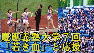 【①慶應義塾大学応援団チアリーダー】７回「若き血」と応援東京六大学野球春季リーグ対明大２回戦2024519（日）神宮球場 [upl. by Leisha]