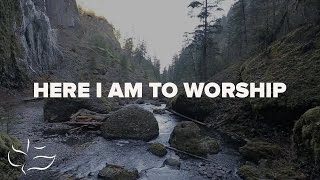 Here I Am To Worship  Maranatha Music Lyric Video [upl. by Veron]