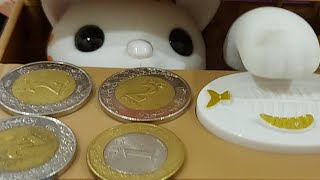 Rosela VLogs is live ORANGE PIGGY BANK EATING MY COINS SO FUNNY [upl. by Ennaeirb]