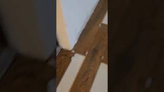 Preview of the tile kitchen floor sister remodel shorts shortsvideo viral viralvideo [upl. by Naryk749]