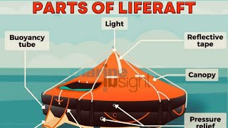 Do You Know the Importance of Life Rafts on Ships 🌊🚤” [upl. by Nethsa211]