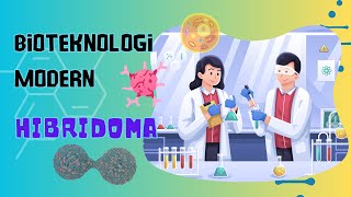 BIOTEKNOLOGI MODERN  TEKNIK HIBRIDOMA [upl. by Harmony195]