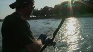 Muzzy Season 5 Bowfishing [upl. by Marylee]