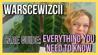 Goeppertia Calathea Warscewizcii  Comprehensive Care Guide [upl. by Diane]