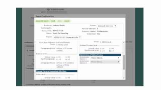 WPPSI IV Interpretive Reports Presentation [upl. by Codee]