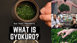 What is Gyokuro How Gyokuro Green Tea is Made and the Benefits of Gyokuro Tea [upl. by Ailimaj]