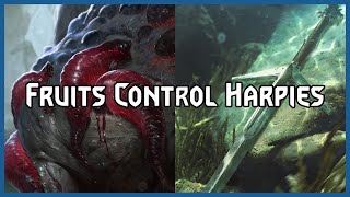 Fruits Control Harpies  Gwent Pro Rank Gameplay [upl. by Sherm166]