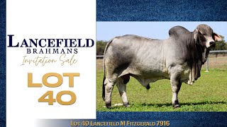 Lot 40 Lancefield M Fitzgerald 7916 [upl. by Eniarda]