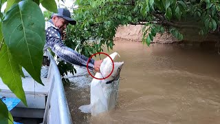 Pesca campamento y asado a la orilla del rio capturamos mas de 5 grandes especies diferentes [upl. by Ahders]