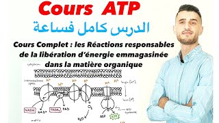 Cours complet les réactions responsables de la libération d’énergie ATP Respiration fermentation [upl. by Lambart309]