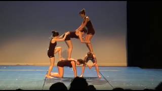 Acro UNSS Yonne 2017 41Iron par le collège Paul BERT [upl. by Ellga]