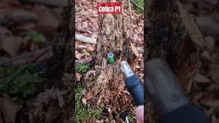 Cobra p1 fireworks pyro4life pyro cobra fyrverkerier testing firecracker review [upl. by Ramsdell]