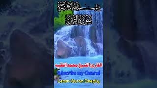 Beautiful Recitation Of Surah At Tin  Qari Muhammad Al Faqih  Learn Quran Deeply quranrecitation [upl. by Sairu]