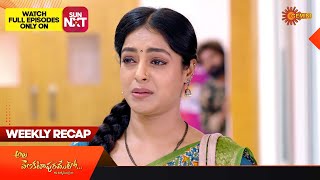 Ala Venkatapuramlo  Weekly Recap  17 July  22 July 2023  Gemini TV  Telugu Serial [upl. by Gamages482]