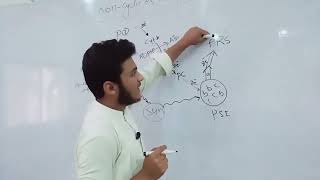 what is light reaction cyclic and non cyclic electron transport educationist [upl. by Borek]