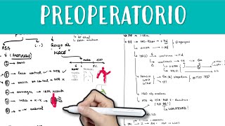 Evaluacion PREANESTESICA anestesia preoperatorio preanestesica anestesia cirugia [upl. by Pauline]
