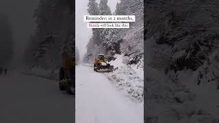 Shimla Snowfall ❄️ ❤️ snowfall shimla travel shortsfeed [upl. by Tuck]