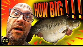 Carp Fishing Session Hunting Giant Carp  Coking Farm  Oak Lake  Big Carp [upl. by Erlene600]