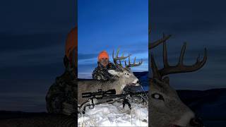 MONTANA 10 POINT hunting wildlife deer hunt nature montana sitka sunset whitetaildeer [upl. by Adirahs537]