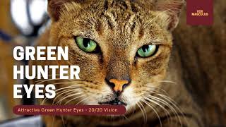 Green Hunter Eyes amp 2020 Vision  Powerful Subliminal [upl. by Edee]