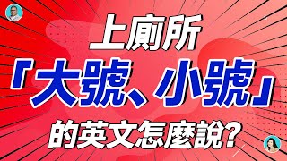 上廁所「大號、小號」的英文怎麼說？大集合啦 [upl. by Akiem46]