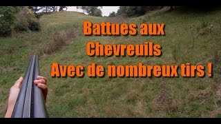 Ouverture chasse aux chevreuils  plusieurs tirs [upl. by Desdamonna]