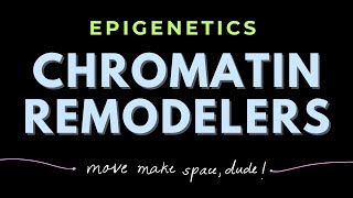 Discovery of Histone Chaperones  Chromatin remodeling complexes  Epigenetics  GATECSIRNET [upl. by Gile]