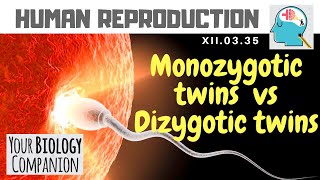 XII0335 – Monozygotic twins vs Dizygotic twins  NEET  AIIMS  ExamForU [upl. by Ahsrav]