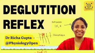 Deglutition reflex Swallowing reflex phases physiology mbbs 1styear  Gastrointestinal system [upl. by Akeihsal725]