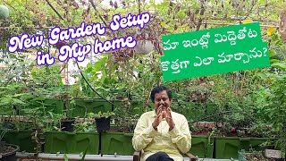 New garden setup at My Home  Garden Tour gandhisgardentokitchen [upl. by Shana]