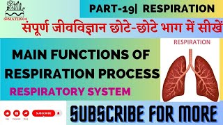 Respiration Process And Their Function  Respiration In Humans  श्वसन तंत्र  Biology  All Parts [upl. by Bonine173]