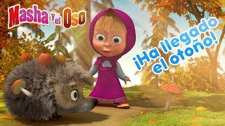 Masha y el Oso  Todos Los Episodios 🎬 Dibujos Animados en Español [upl. by Adnesor]