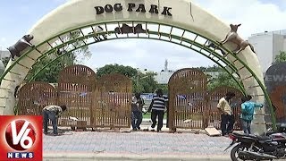 GHMC To Launch Dog Park In Kondapur Hyderabad  V6 News [upl. by Suzetta]